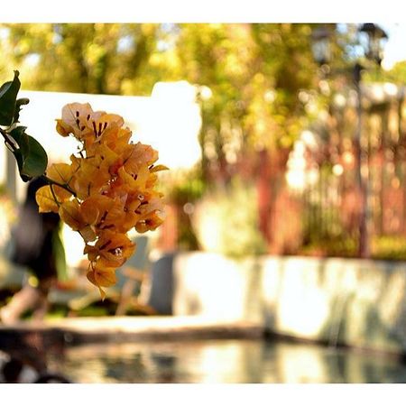 Old Oak Manor Hotel Riebeek-Kasteel Ngoại thất bức ảnh
