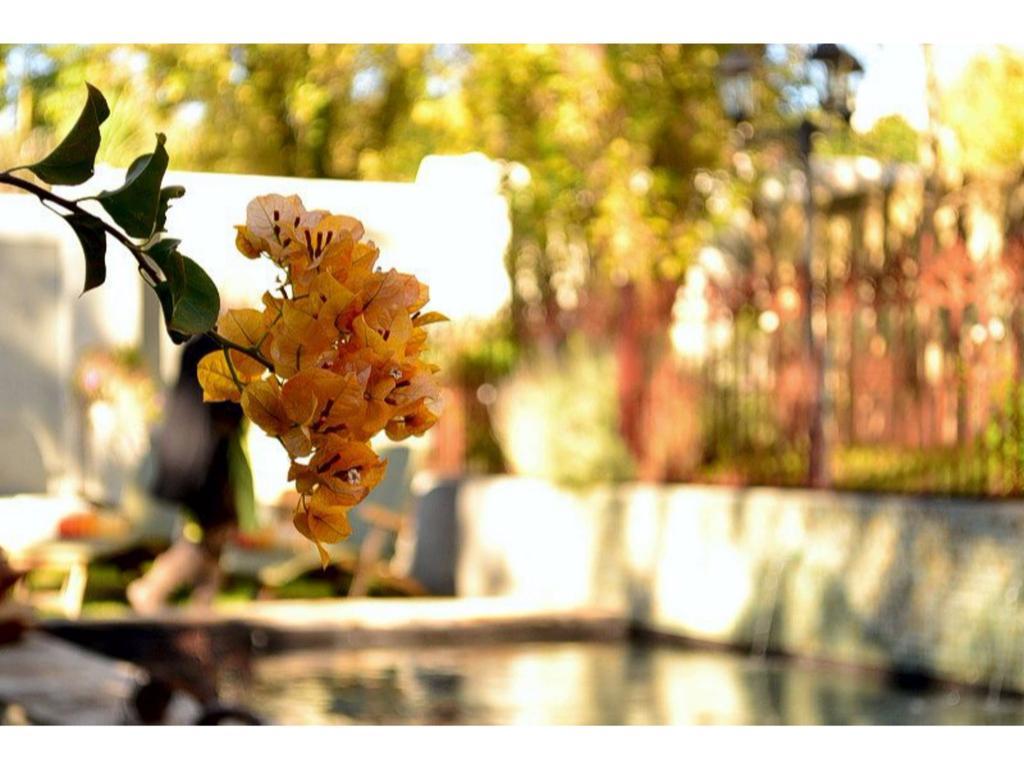 Old Oak Manor Hotel Riebeek-Kasteel Ngoại thất bức ảnh